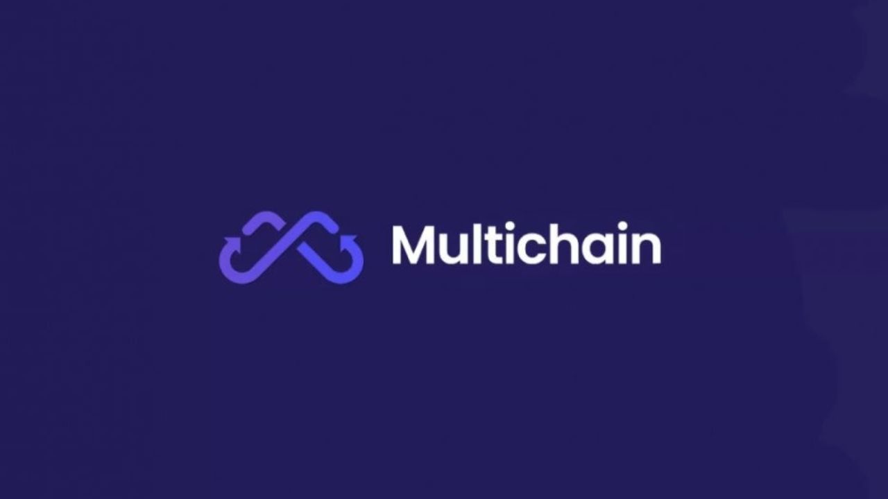 Multichain Services Halted Amid $126 Million Asset Outflow